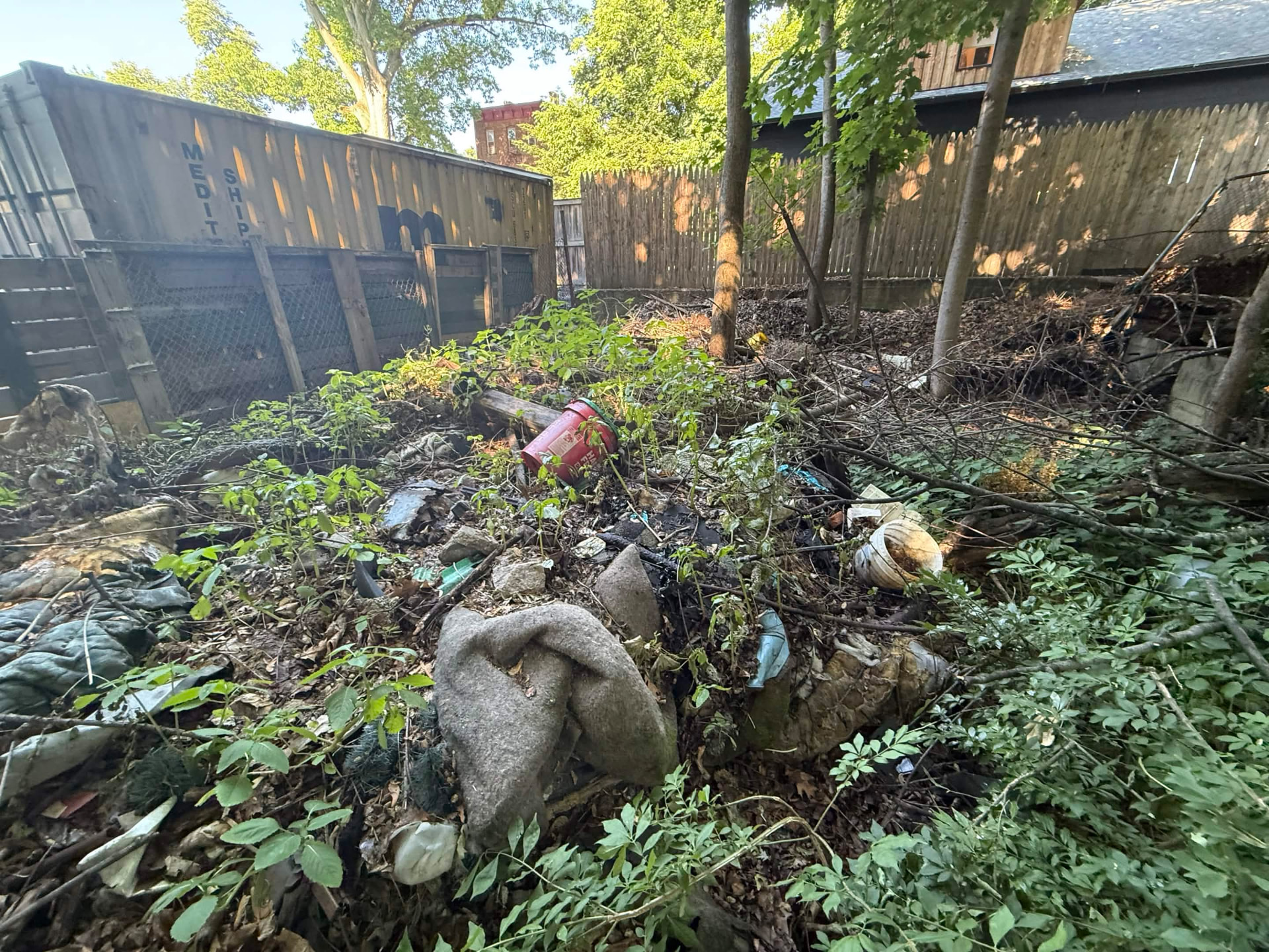 Yard full of scattered junk and overgrowth before cleanup