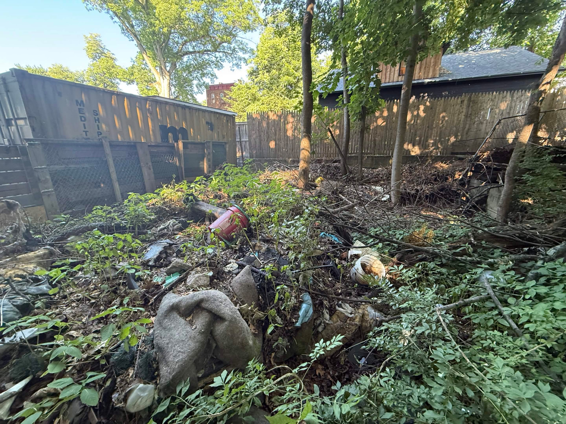 Backyard filled with brush, rock and dumped debris before clearing